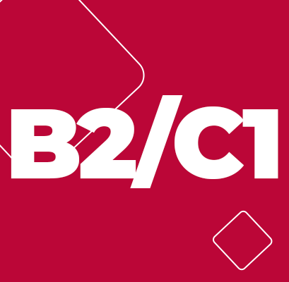 b2c1
